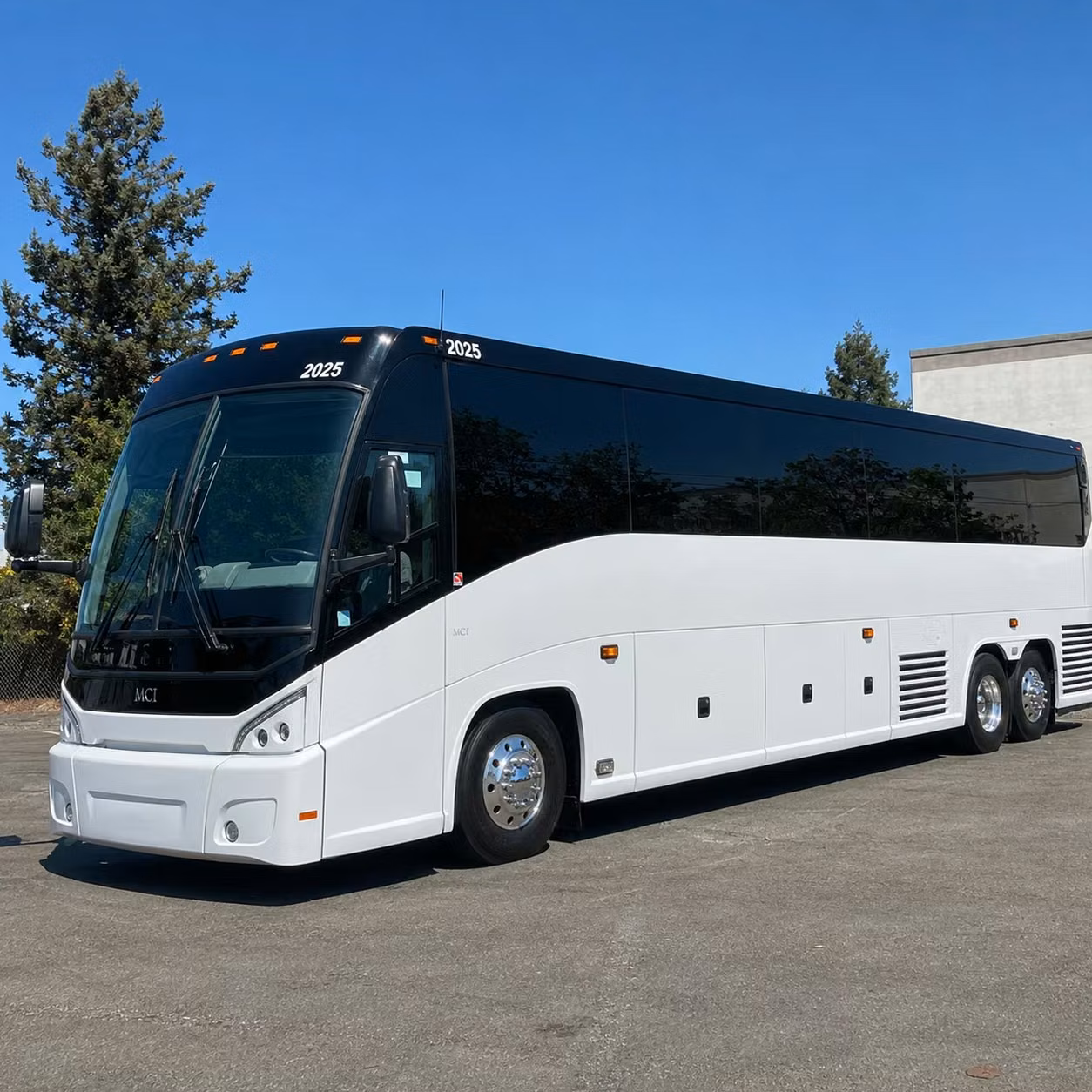 56 passenger charter bus